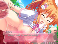 Visual novel eroge, eroge