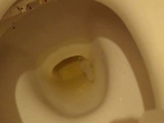 Asian teen pees in toilet