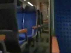 Couple fucks on a train