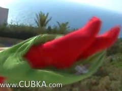 Huge red vibrator in shaved girly pussy