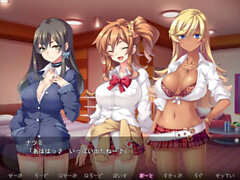 Eroge, anime eroge anime, anime